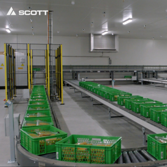 Case meat conveying 04