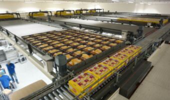 Scott Automation | Conventional Palletizing vs. Robotic Palletizing